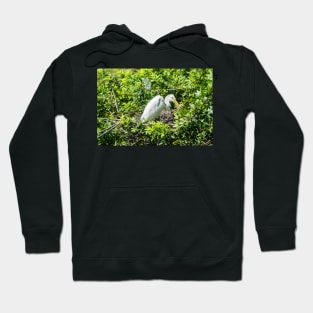 Nesting Great egret Hoodie